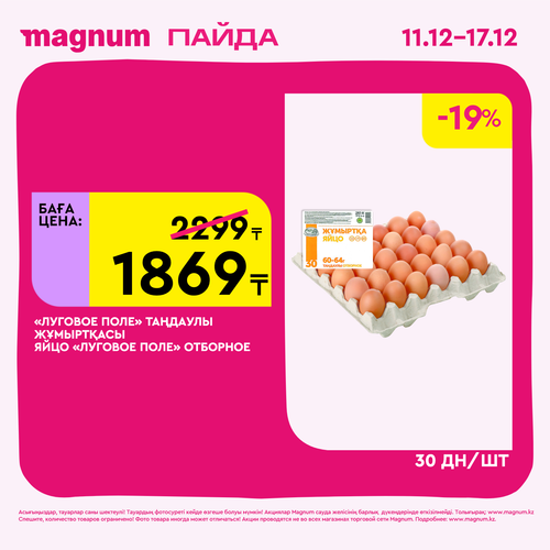 Magnum 1620x1620 1 tov 2025 12 10T180132.686.png