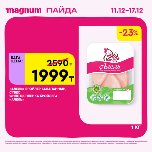 Magnum 1620x1620 1 tov 2025 12 10T180123.470.png