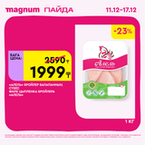 Magnum 1620x1620 1 tov 2025 12 10T180123.470