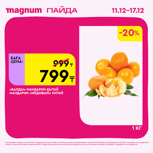 Magnum 1620x1620 1 tov 2025 12 10T180116.080.png