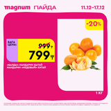 Magnum 1620x1620 1 tov 2025 12 10T180116.080