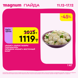 Magnum 1620x1620 1 tov 2025 12 10T180140.119