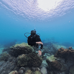 Underwater hand signal Out Of Air