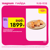 Magnum 1620x1620 1 tov 2025 12 10T180109.703