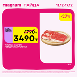 Magnum 1620x1620 1 tov 2025 12 10T180112.062