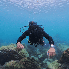 Underwater hand signal Half Tank