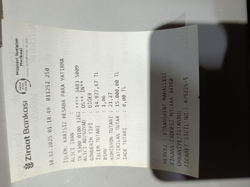 89972 lizziex031 15000 1765318761128 947600842 resized.jpg