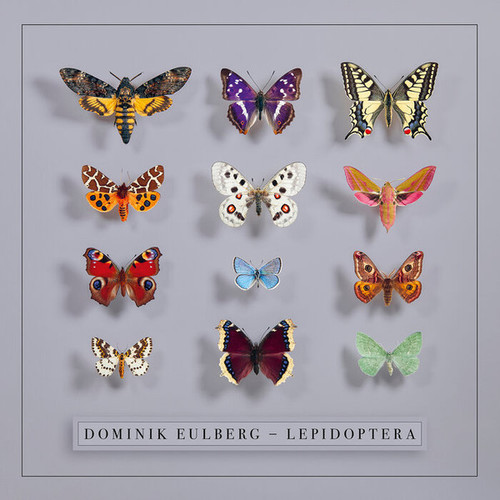 Dominik Eulberg – Lepidoptera.jpg