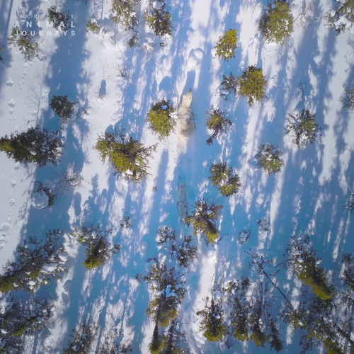 0Dc 1mQueTR2SBFD.jpg