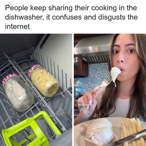 weird dishwasher cooking.png