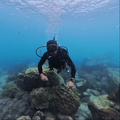 Underwater hand signal Safety Stop
