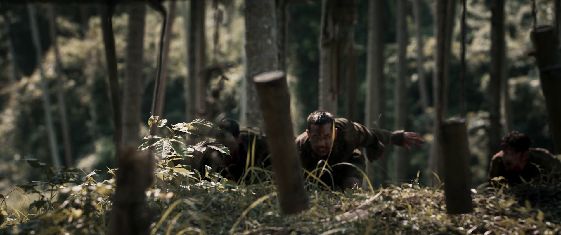 vlcsnap 2025 12 10 14h39m01s878