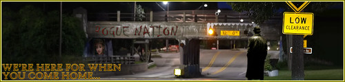 Lansing Banner.jpg