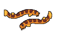loaches.png