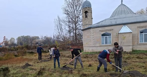 582079158 18113549746599110 4310407239694123555 n.jpg?stp=dst jpg s590x590 tt6& nc cat=107&ccb=1 7& .jpg