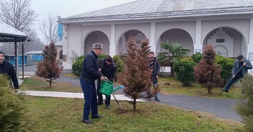 590545289 18113549716599110 3595364327406141591 n.jpg?stp=dst jpg s590x590 tt6& nc cat=105&ccb=1 7& .jpg