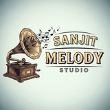 professional logo (10)