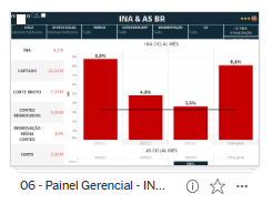 Painel Gerencial INA BR.png