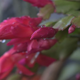 DSC 0086