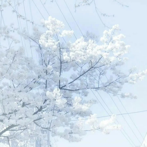 分享蓝冷调背景图 1 Ruinapse 来自小红书网页版.jpg