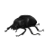 New Project 2025 12 09T215900.633.png