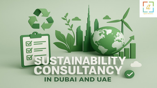 Top Sustainability and ESG Consulting Firm in UAE.jpg