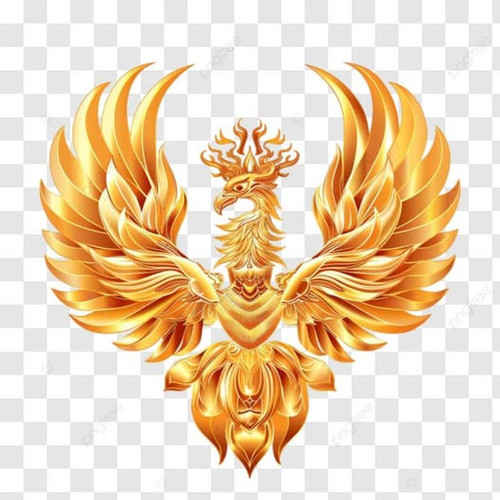 597852609 25298016173226148 4249987990928616966 n.jpg?stp=dst jpg p526x296 tt6& nc cat=101&ccb=1 7& .jpg