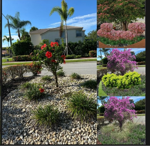 Landscape Designers Wellington.png