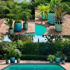Landscape Designers Boynton Beach.jpg