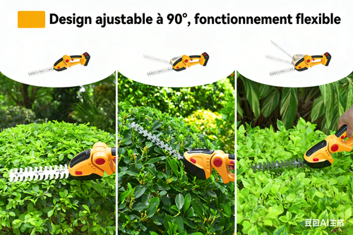 生成法语图片 (1).png