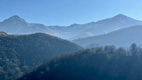 595815258 1273767111461077 4662817888044487068 n.jpg?stp=cp6 dst jpg s590x590 tt6& nc cat=101&ccb=1 .jpg