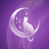 25 profile (3).gif