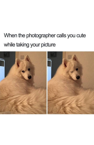 596315530 4351403081806587 8021773525724704285 n.jpg