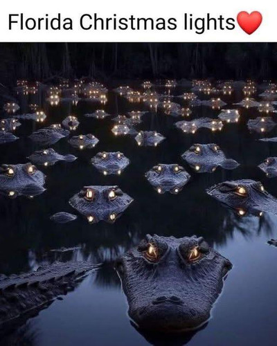 595345607 10235894930366880 2609484767646359387 n.jpg