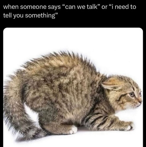 79372383 2c03 4da4 8682 ac12d522e297.jpg