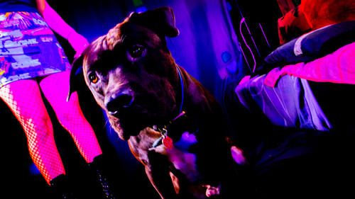 AmandaPLZ EVOL Set1 011.jpg