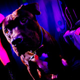 AmandaPLZ EVOL Set1 011