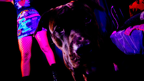 AmandaPLZ EVOL Set1 010.jpg