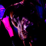 AmandaPLZ EVOL Set1 010