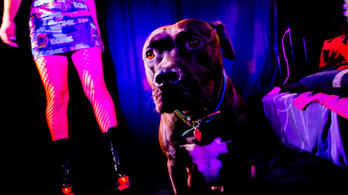 AmandaPLZ EVOL Set1 009.jpg