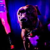 AmandaPLZ EVOL Set1 009