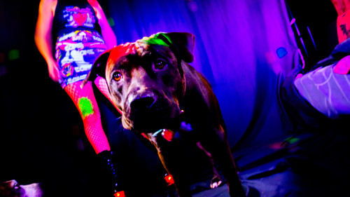 AmandaPLZ EVOL Set1 013.jpg