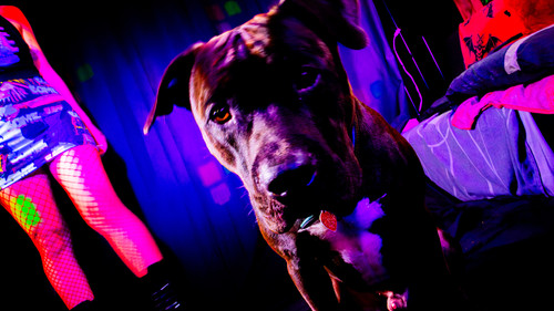 AmandaPLZ EVOL Set1 012.jpg