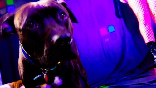 AmandaPLZ EVOL Set1 018.jpg