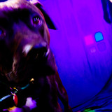 AmandaPLZ EVOL Set1 018