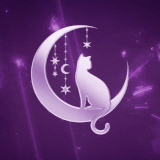 25 profile (4).gif