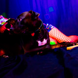 AmandaPLZ EVOL Set1 052