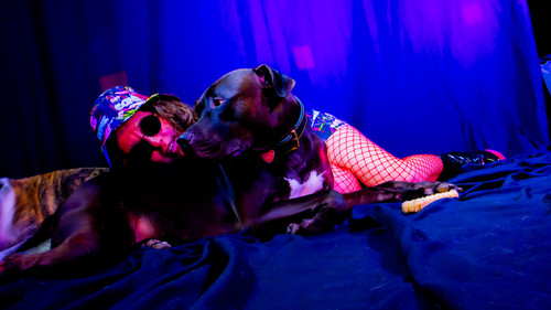 AmandaPLZ EVOL Set1 053.jpg