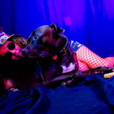 AmandaPLZ EVOL Set1 053