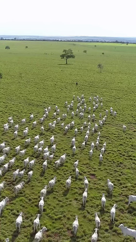 472093919 1070577281749838 223974552449039223 n.jpg